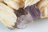 Bladed Barite with Purple Cubic Fluorite - Berbes, Spain #183851-2
